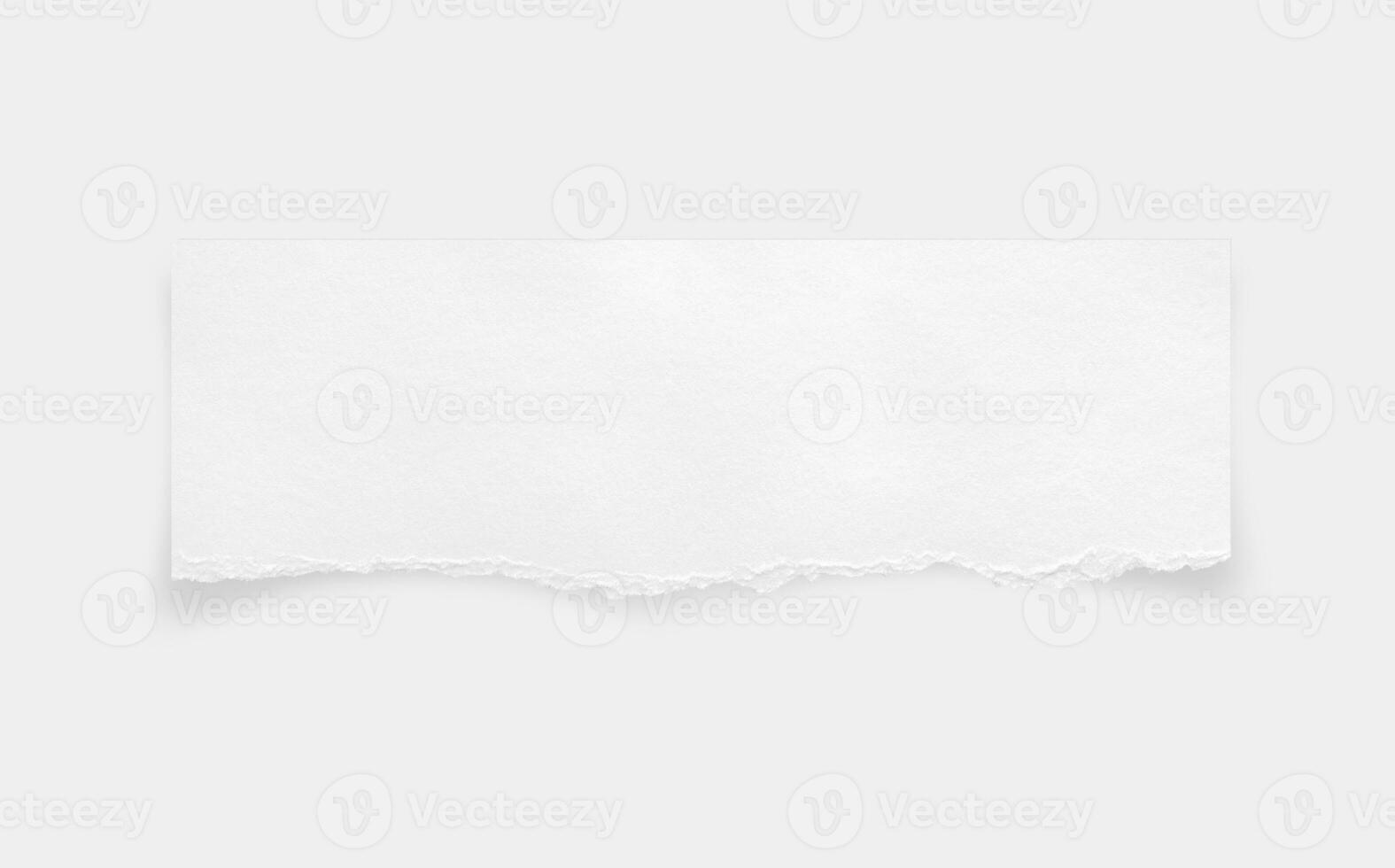 Torn paper edges. Ripped paper texture. Paper tag. White paper sheet for background with clipping path. Close up. photo