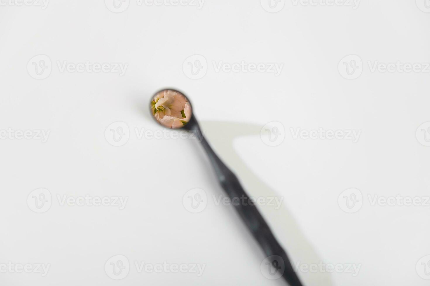 Dentist mirror with flowers reflection on white background. Minimalism. Dental care concept. Copy space. photo