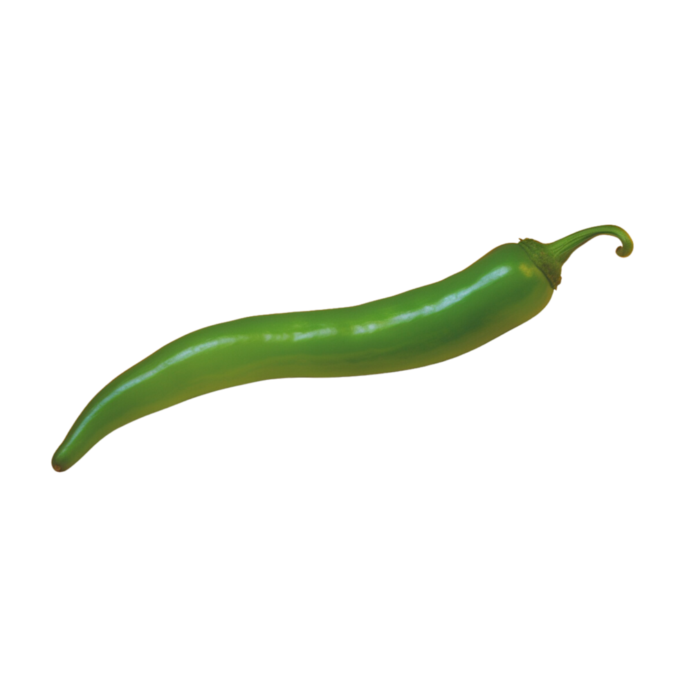 Chili no background png