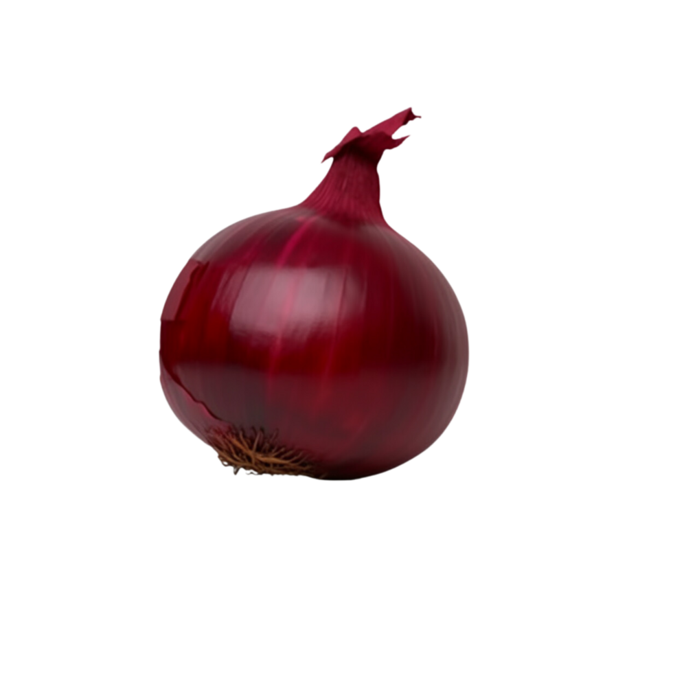 Onion no background png