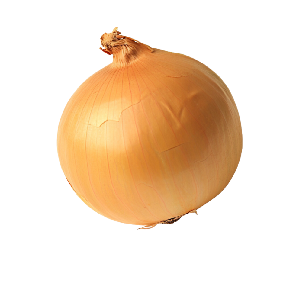 Onion no background png