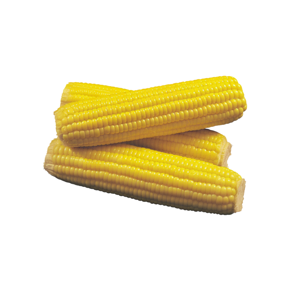 Corn no background png
