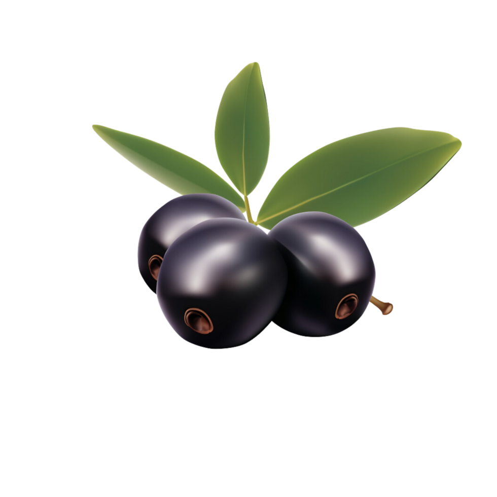 Olive no background png