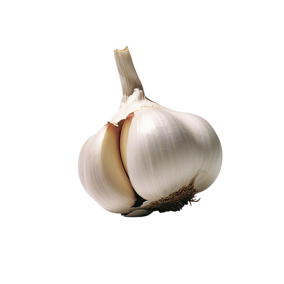 garlic no background png