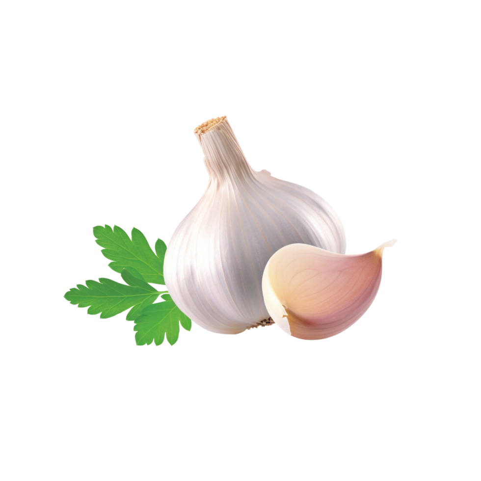 garlic no background png