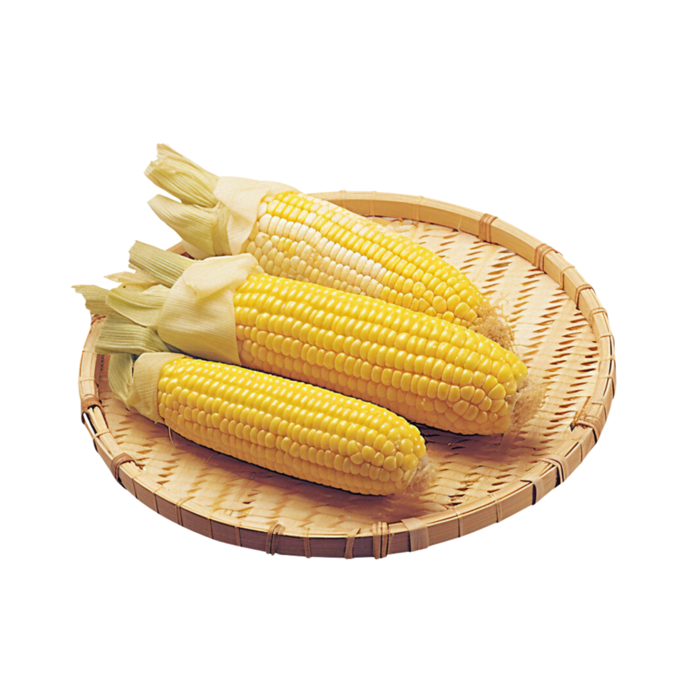 Corn no background png