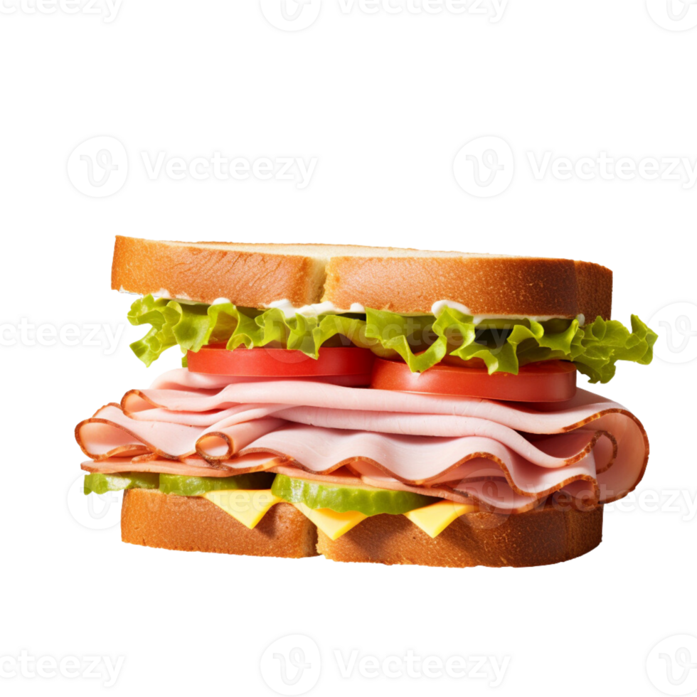 Delicious sandwich no background png