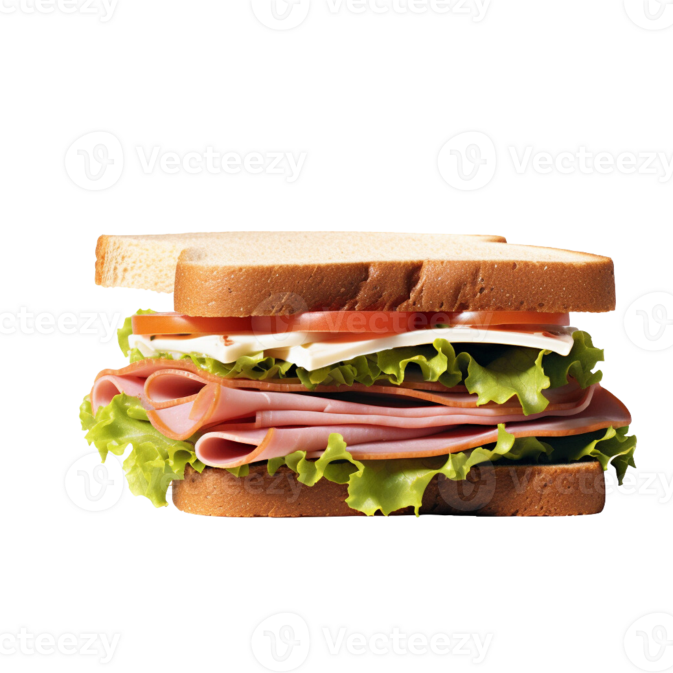Delicious sandwich no background png