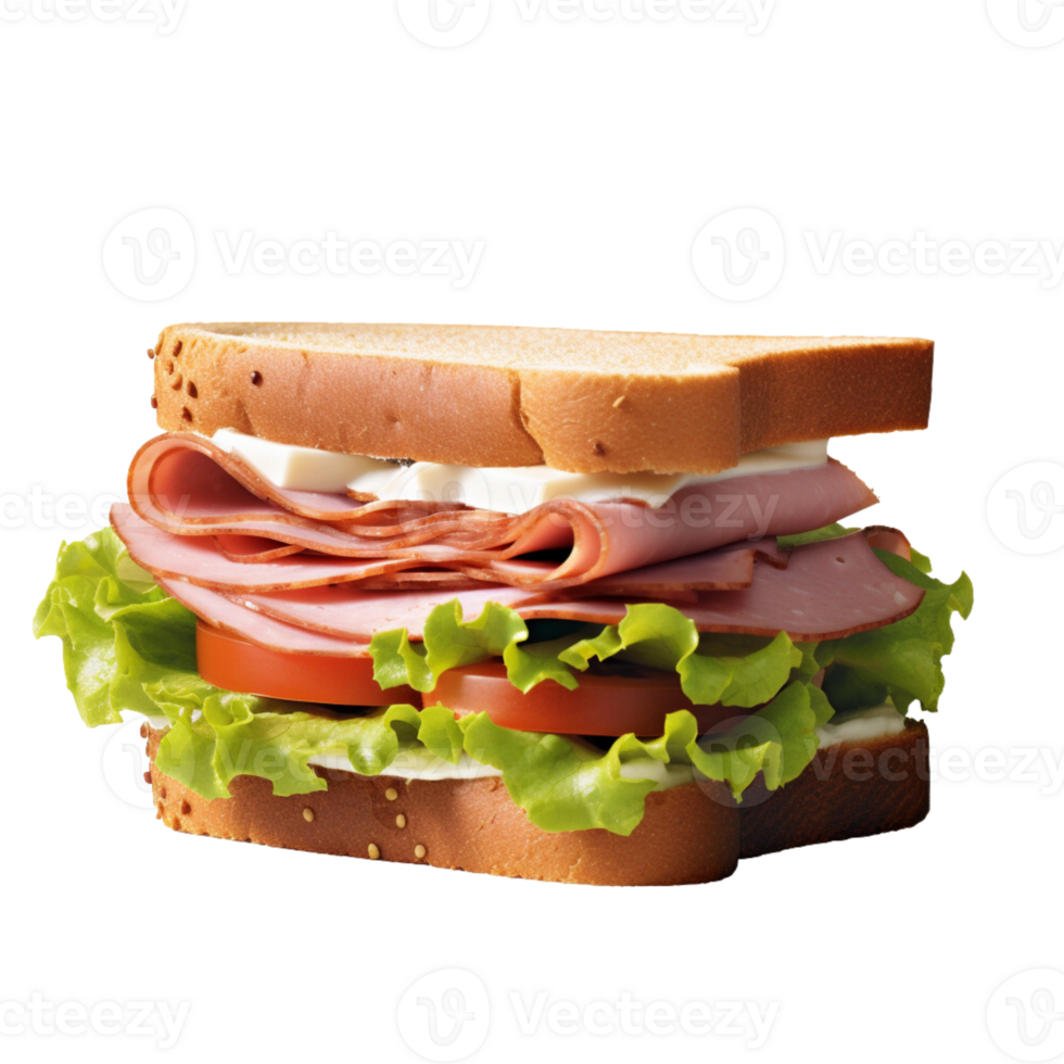 Delicious sandwich no background png