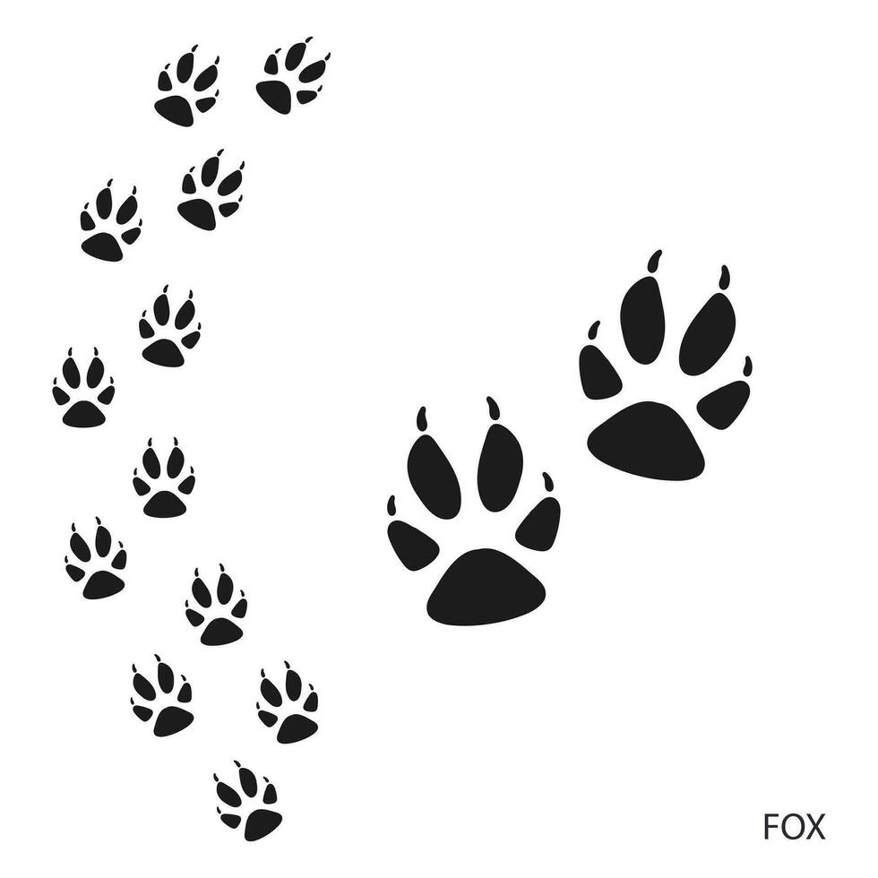Paw prints, animal tracks, fox footprints pattern. Icon and track of footprints. Black silhouette. Vector