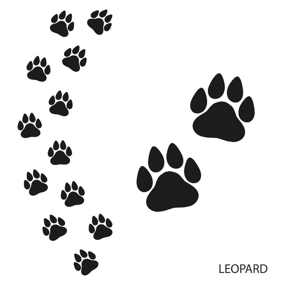 Paw prints, animal footprints, leopard footprints template. Icon and track of footprints. Black silhouette. Vector