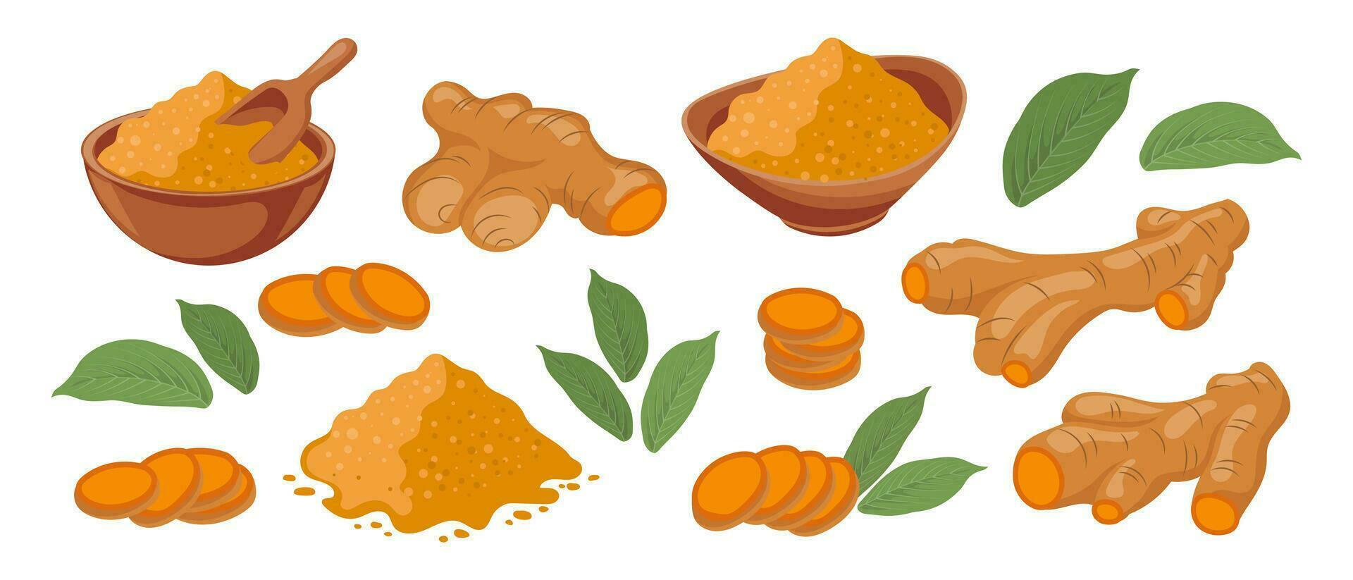 Turmeric icons set. Dry turmeric powder, turmeric roots, slices and flowers. Herbs and spices. Curcumin. Botanical illustration, vector