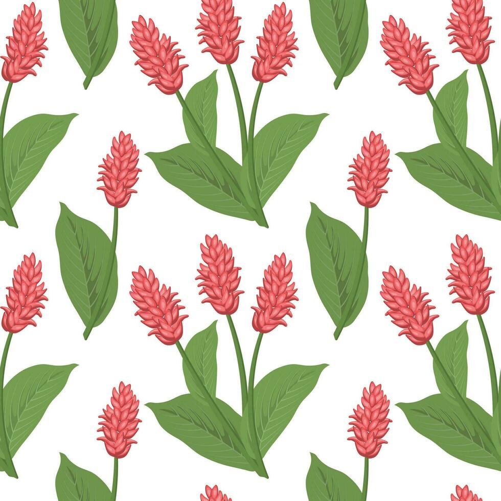 Seamless pattern, pink ginger flowers on a white background. Botanical print, textile, wallpaper. Vector