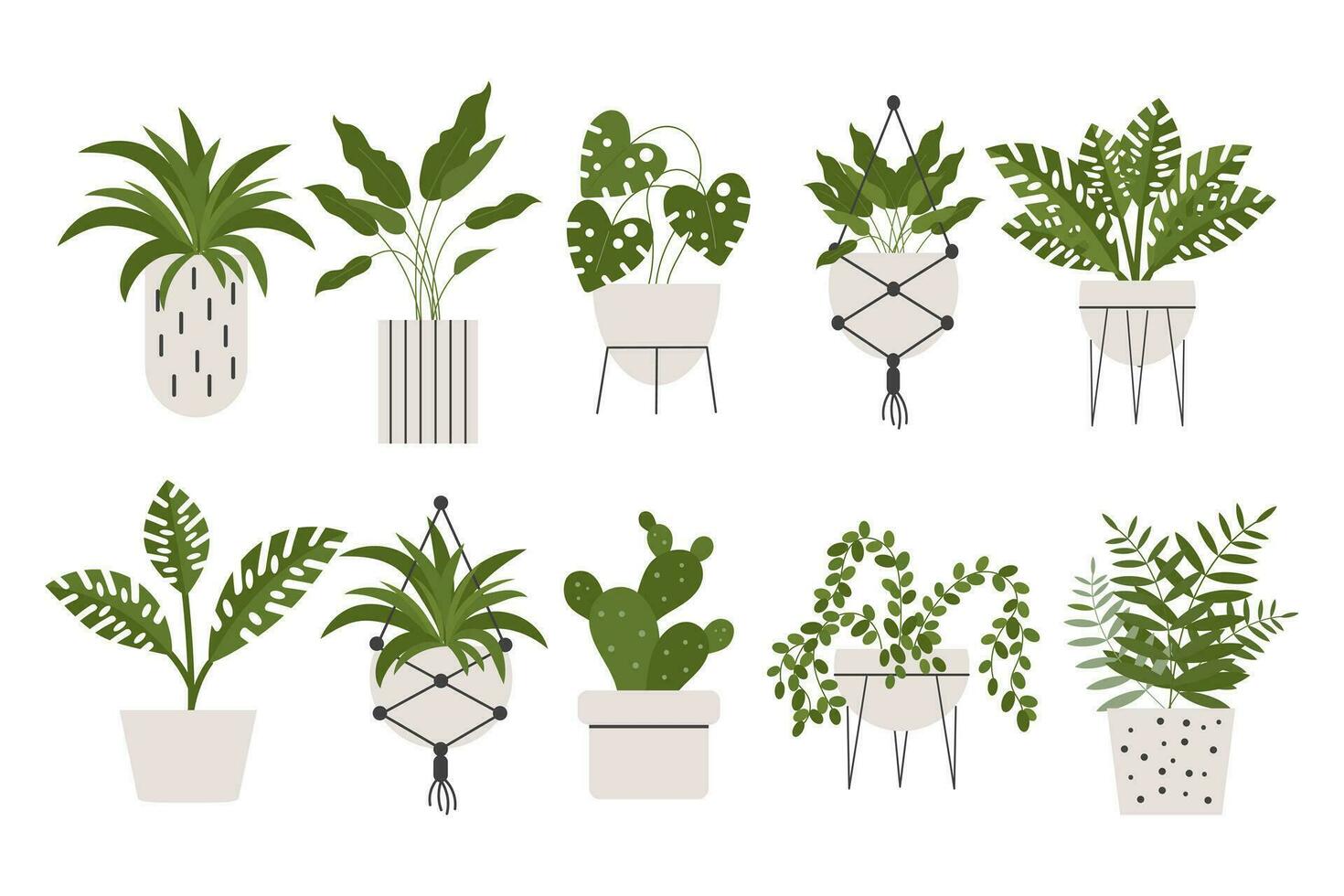 un conjunto de interior tropical plantas en varios arcilla macetas. iconos, botánica elementos, vector