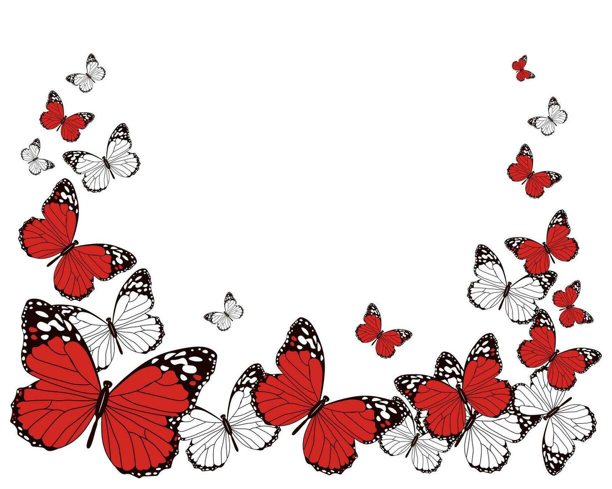 Frame from red, white and black flying butterflies on a white background. Poster, print, vector