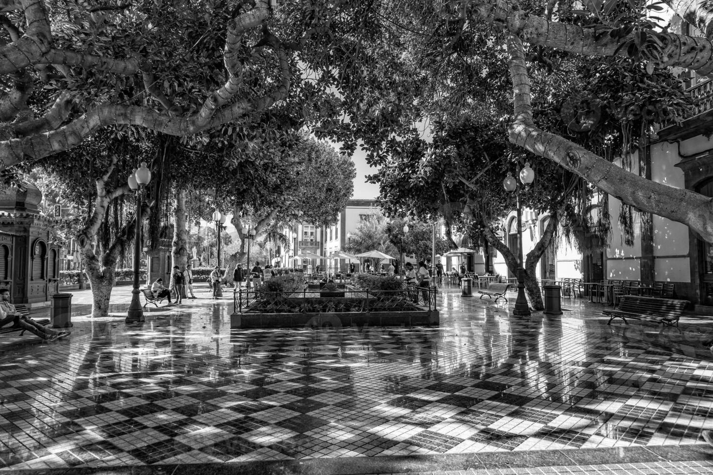 urbano paisaje desde el Español capital canario isla las palmas gran canaria con calles y edificios foto