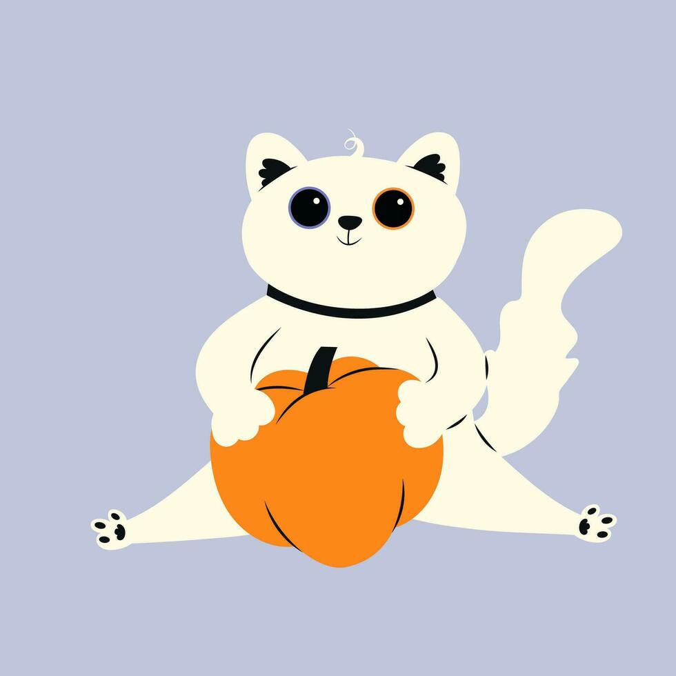 A cute white cat sits and hugs a Halloween pumpkin in a hand drawn style. Autumn illustration on isolated background. Vector stock illustration in flat style.