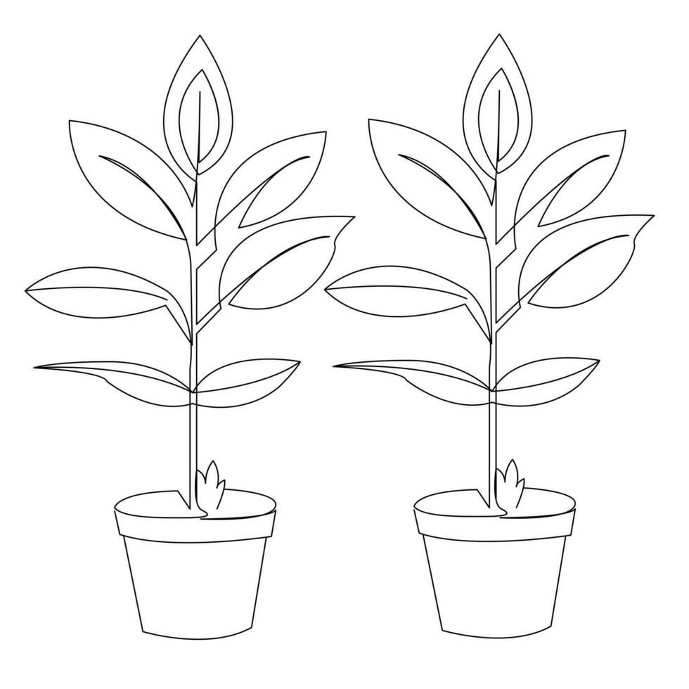 Continuous one line plant growth tree outline vector art drawing