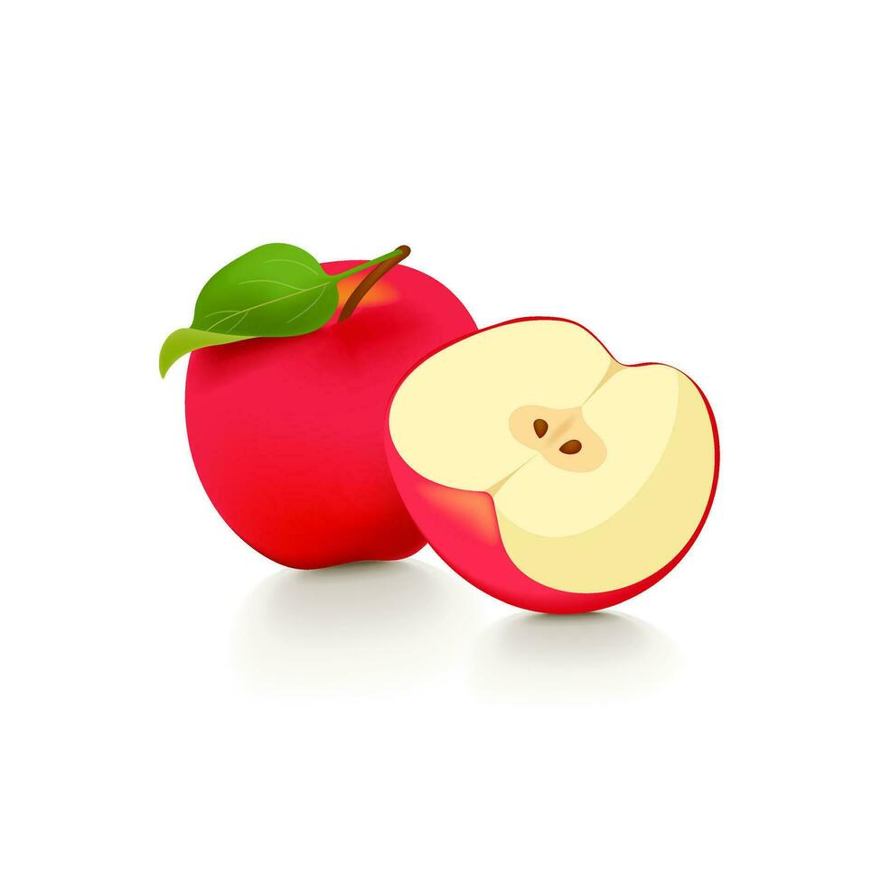 Ripe red apple fruit with apple half and green leaf isolated on white background. vector