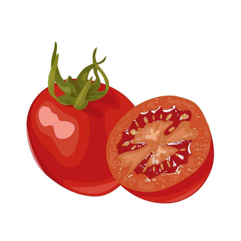 Vector illustration, whole and halved cherry tomatoes, isolated on white background.