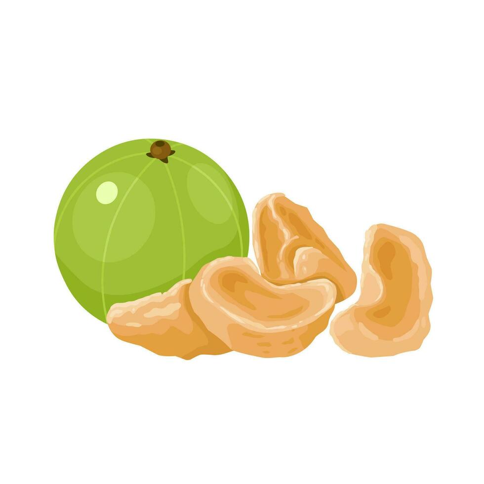 Vector illustration, amla candy, made from dried amla or Phyllanthus emblica fruit, isolated on white background.