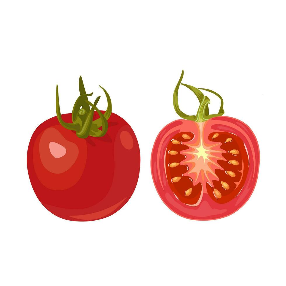 Vector illustration, whole and halved cherry tomatoes, isolated on white background.