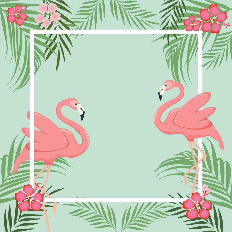 birds flamingo and flowers. frames with flamingo. flamingo background vector