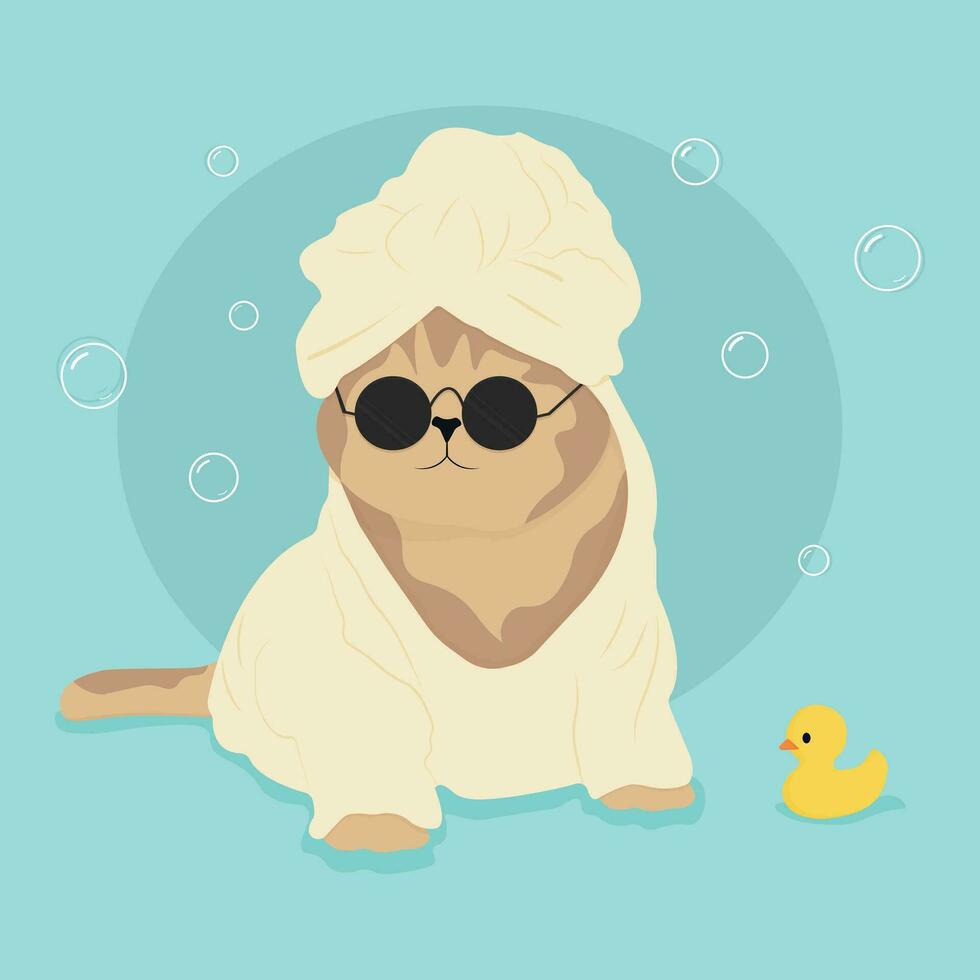 Grooming. Cat in glasses. Cat in the shower. Cat in a towel. Cat grooming. Bath animals vector