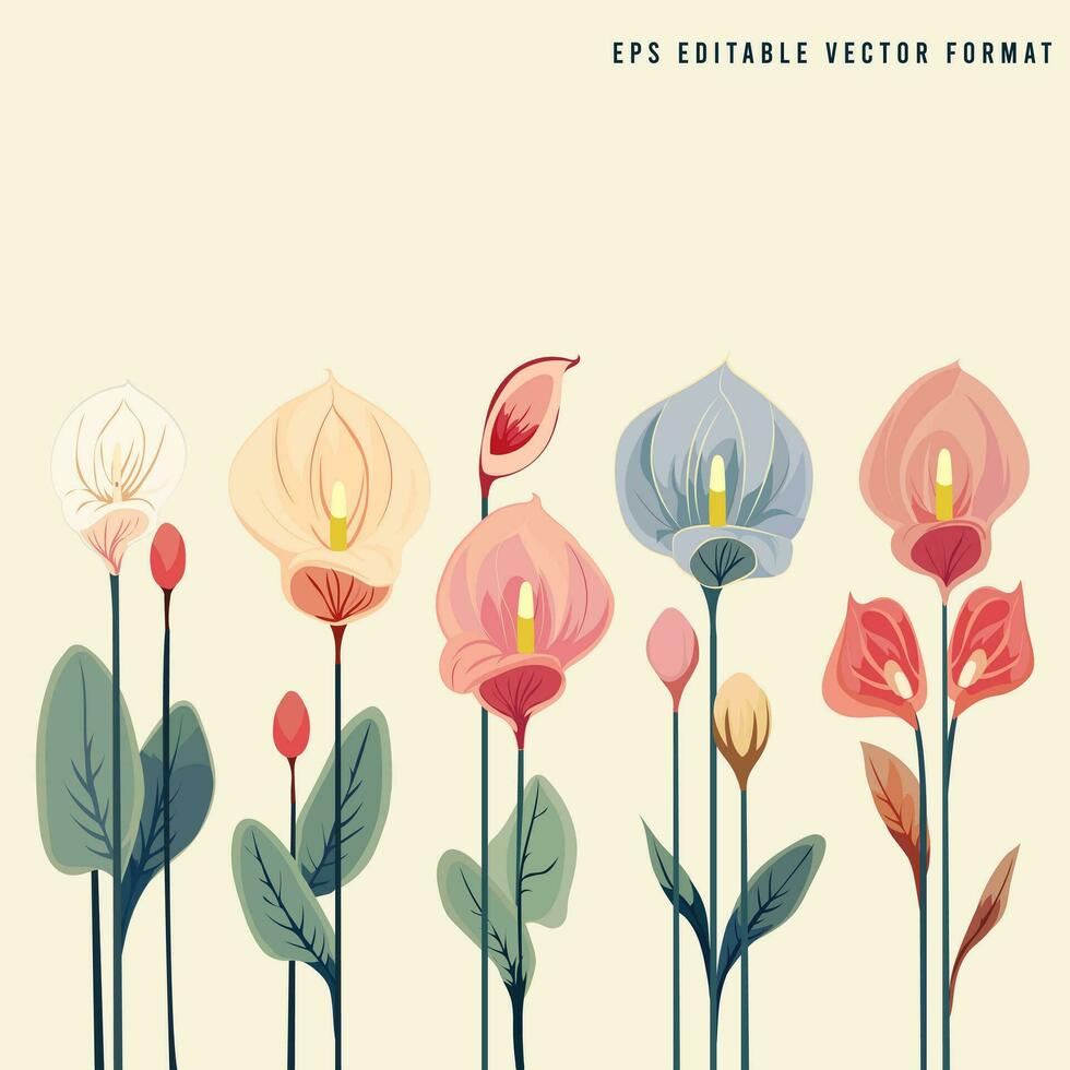 Anthurium Flowers Set Vector Illustration