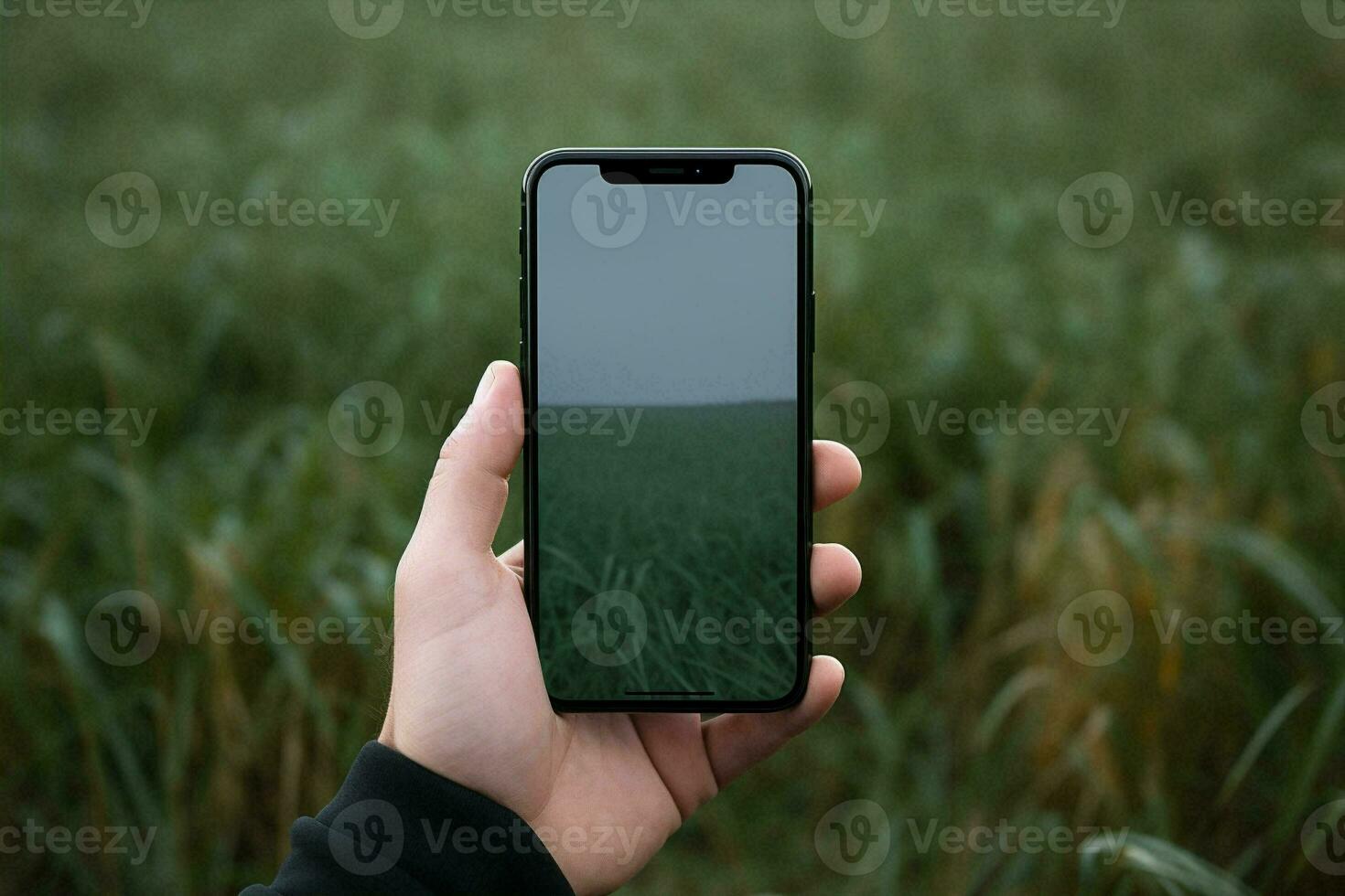 Photograph screen phone technology connection 5g network mobile smart smartphone hand nature photo