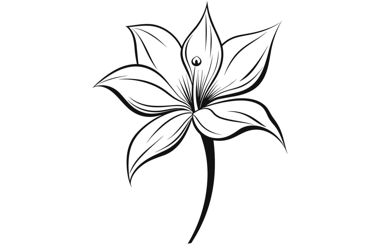 Line art vanilla flower illustration, Vanilla flower sketch ink vector illustration.