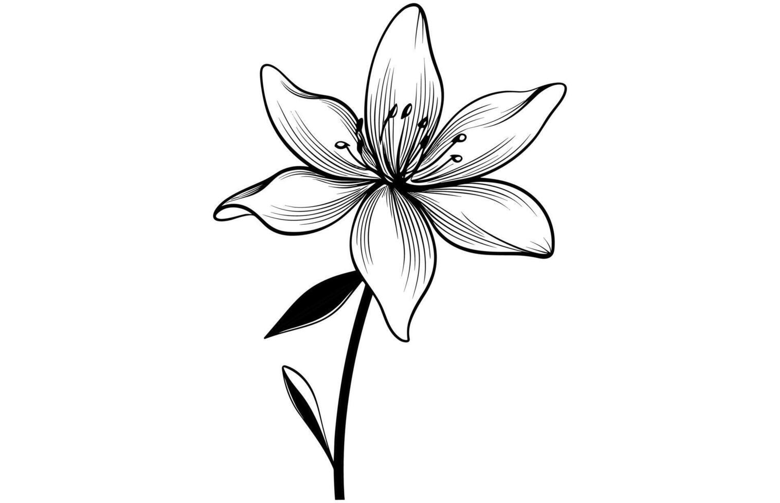 Line art vanilla flower illustration, Vanilla flower sketch ink vector illustration.