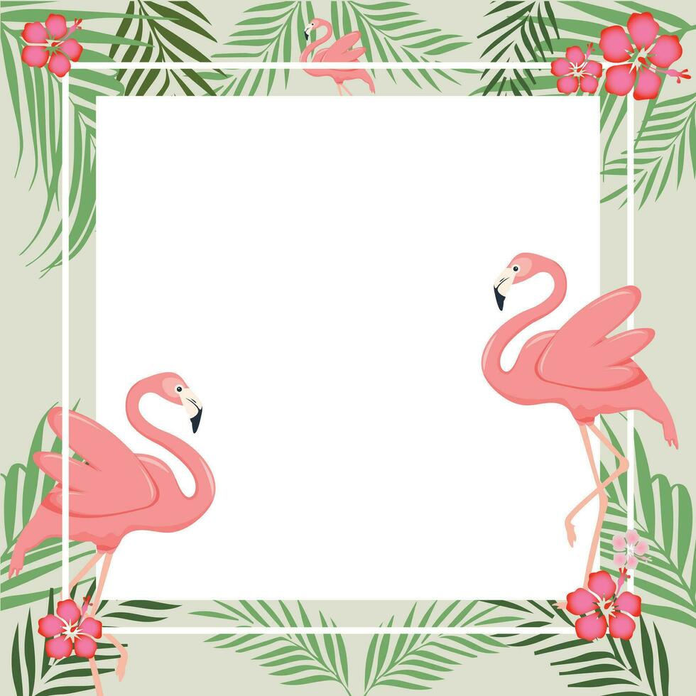 birds flamingo and flowers. frames with flamingo. flamingo background vector