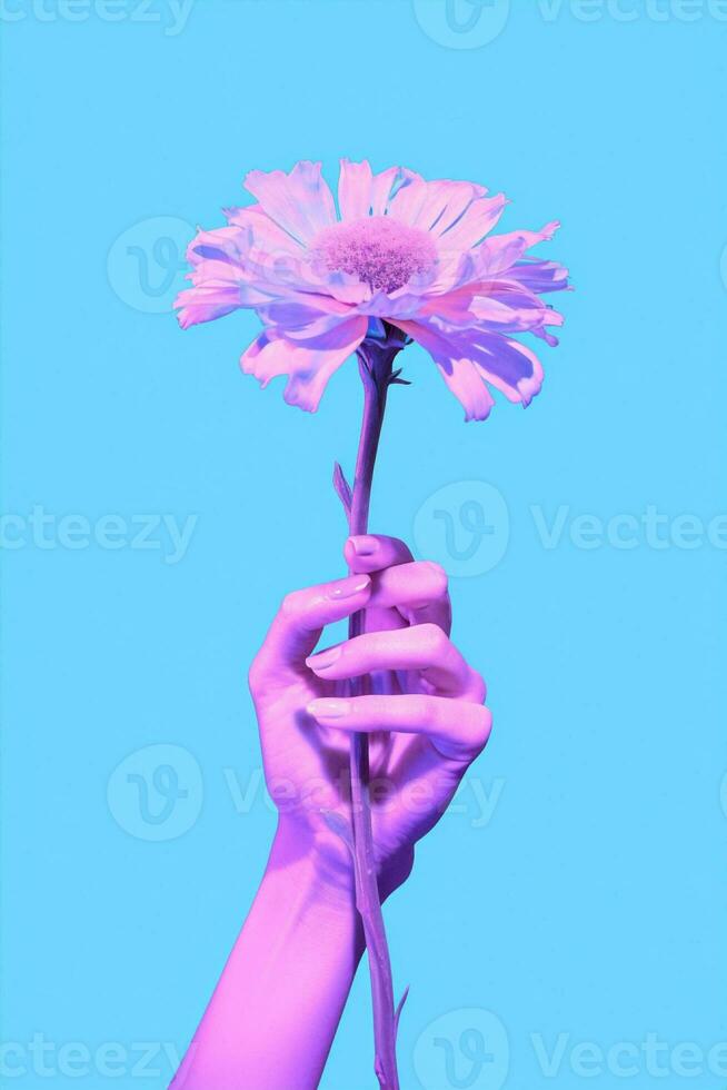 Space nature flower valentine daisy trend floral hand neon love copy photo