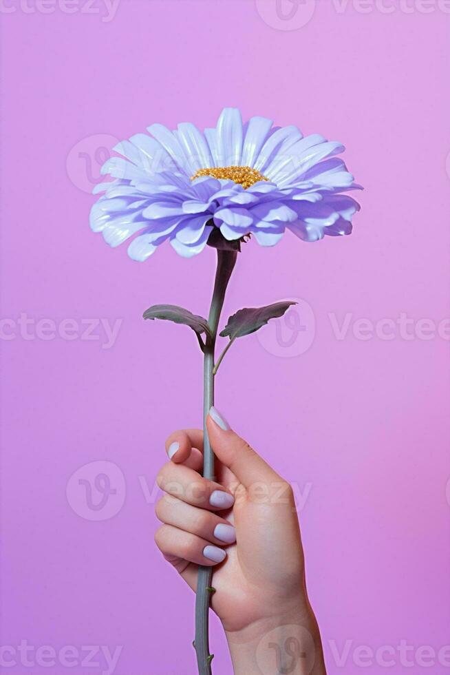 flores mujer verano naturaleza concepto belleza Violeta manos floral rosado amor foto