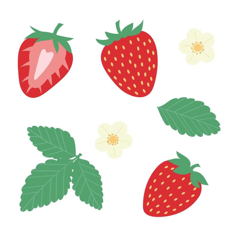 fresa vector plano ilustración colocar, Fruta acortar Arte con flor y hojas