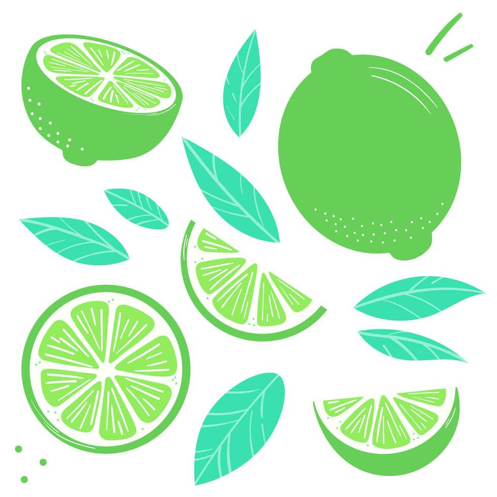 Lime vector illustration clip art set, citrus fruit and leaves