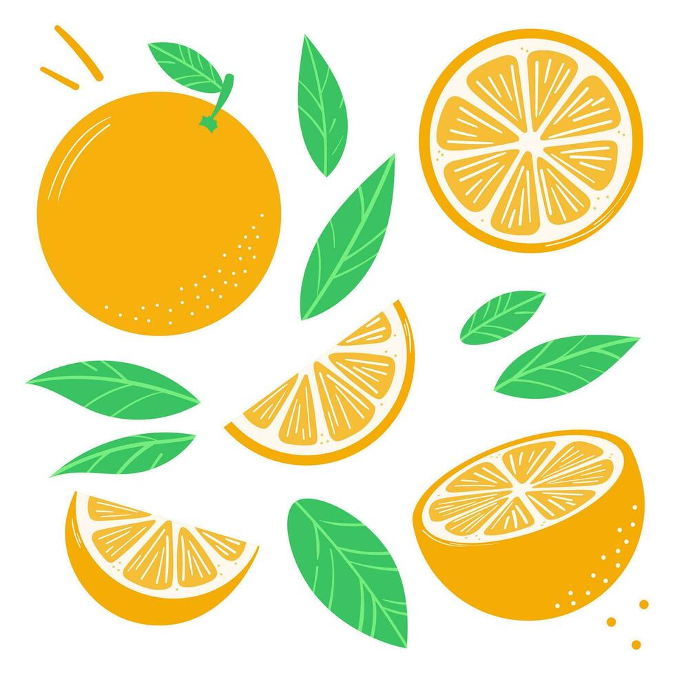 naranja acortar Arte vector ilustración conjunto con hojas