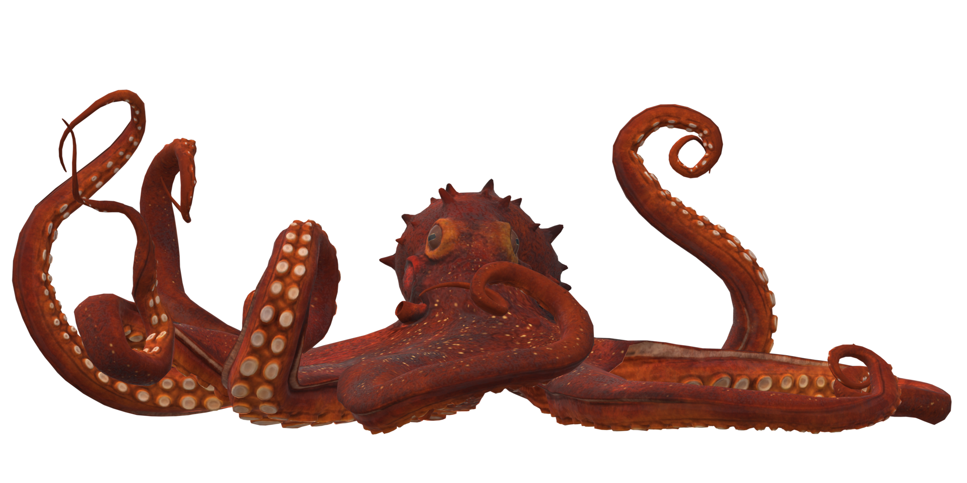 Octopus isolated on a Transparent Background png