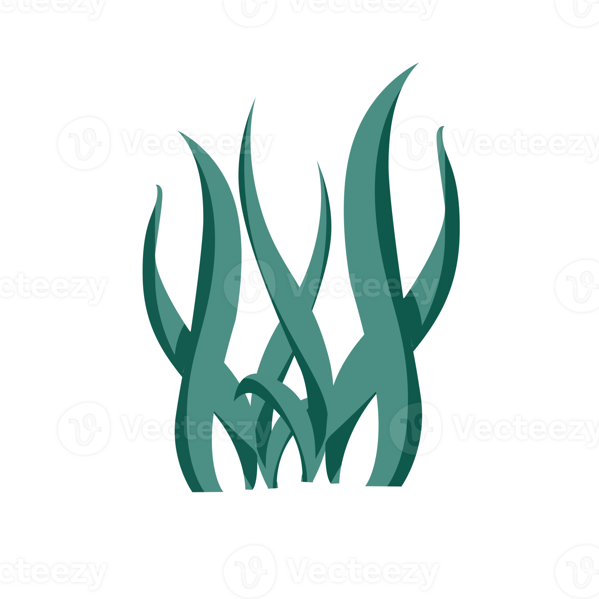 Sea Weed Illustration 32173819 PNG sea-weed-illustration-32173819-png