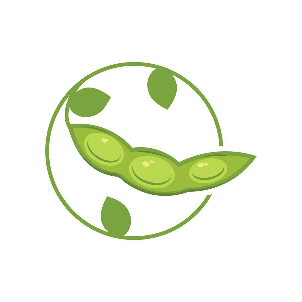 Soya bean design element vector icon with creative modern concept