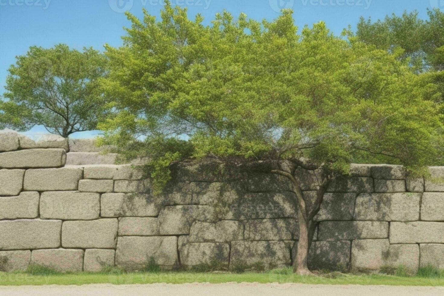 Stone rock wall with a tree background. AI Generative Pro Photo