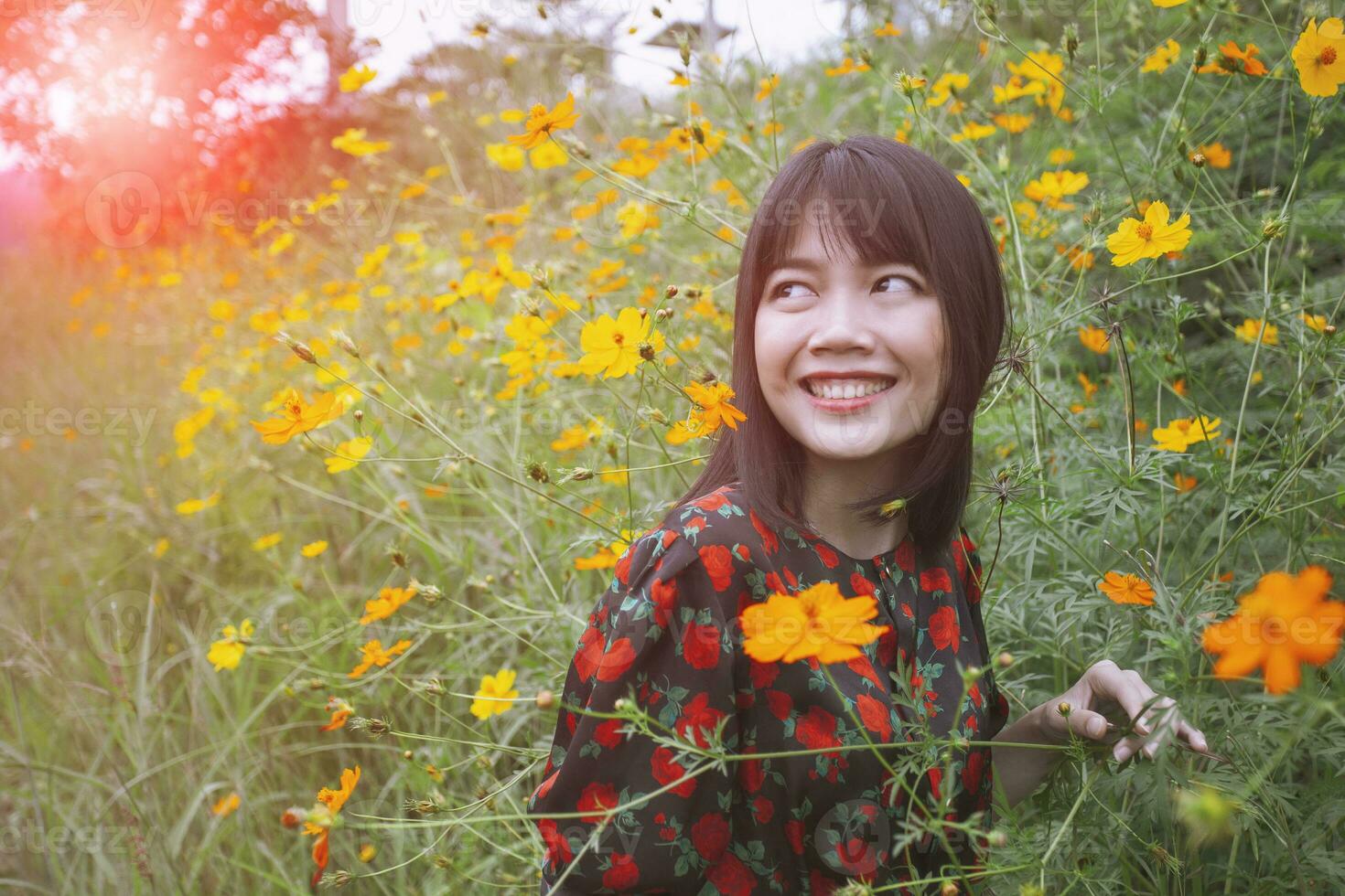 hermosa mas joven asiático mujer con dientes sonriente cara con felicidad emoción en pie en amarillo cosmos flor campo foto