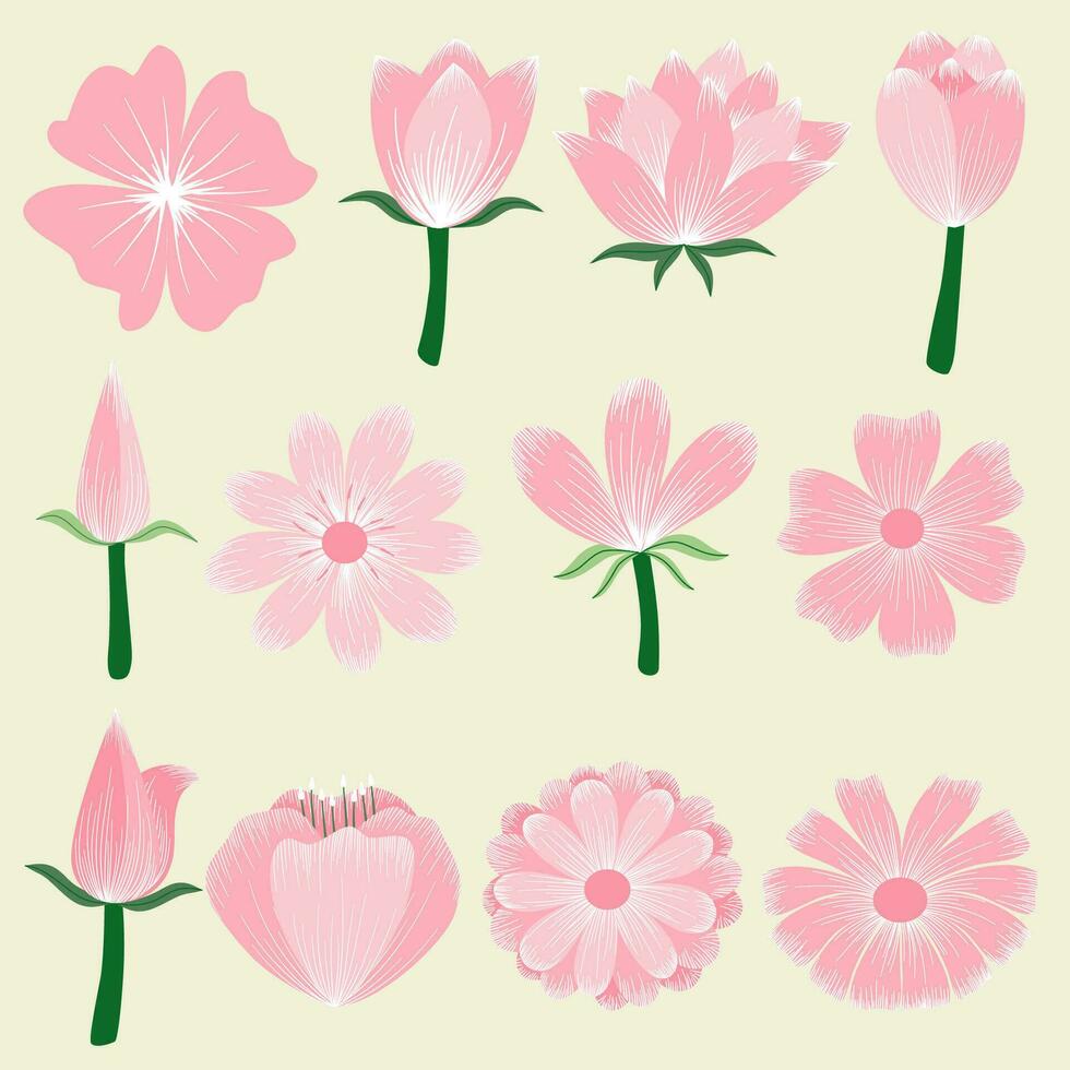 Botanical flower illustration vector