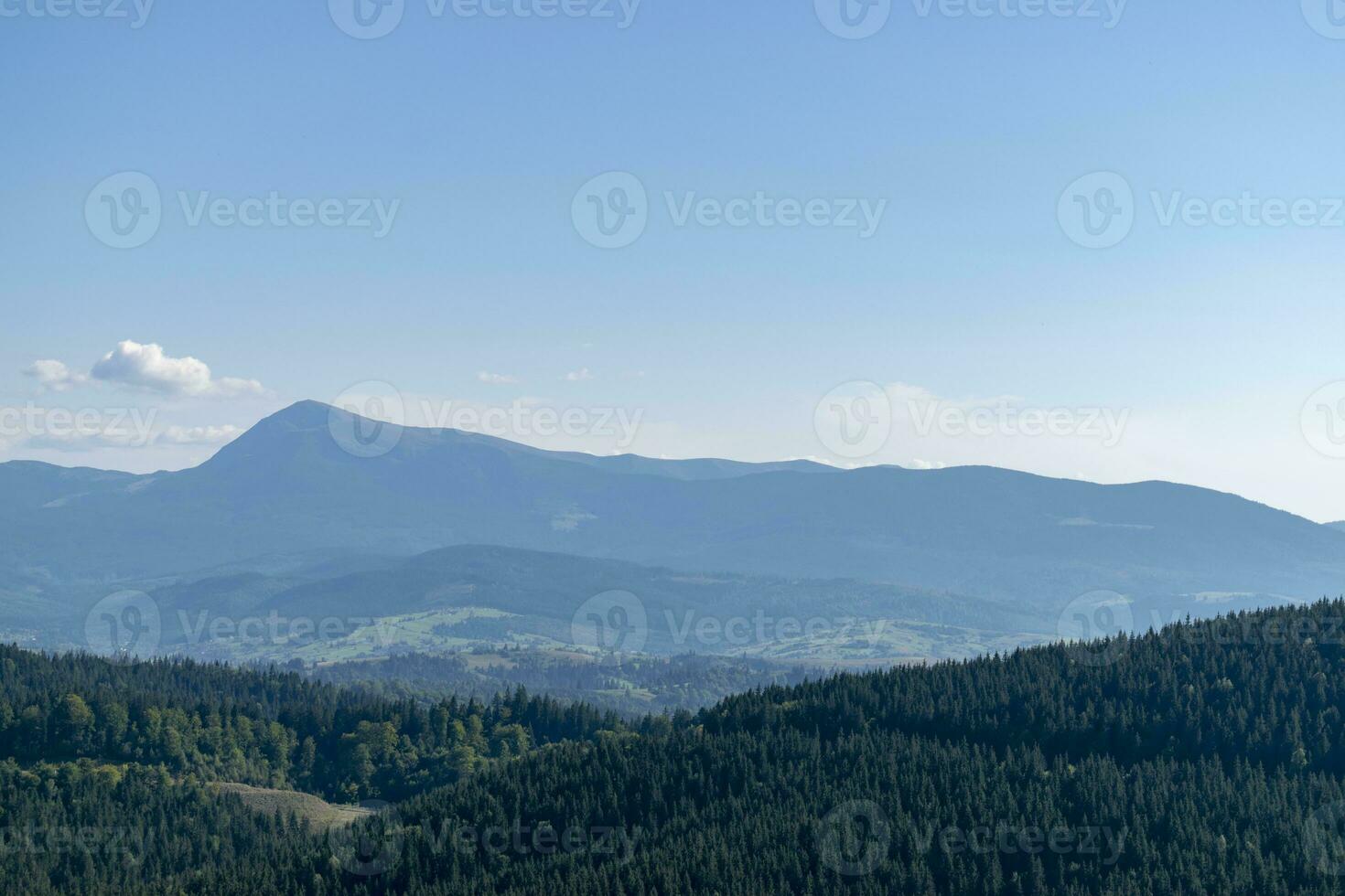 Mountain landscape with forest in the Carpathian mountains of Ukraine. photo