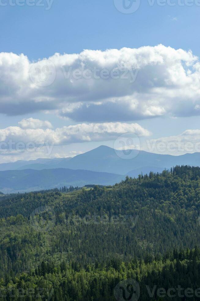 Mountain landscape with forest in the Carpathian mountains of Ukraine. photo