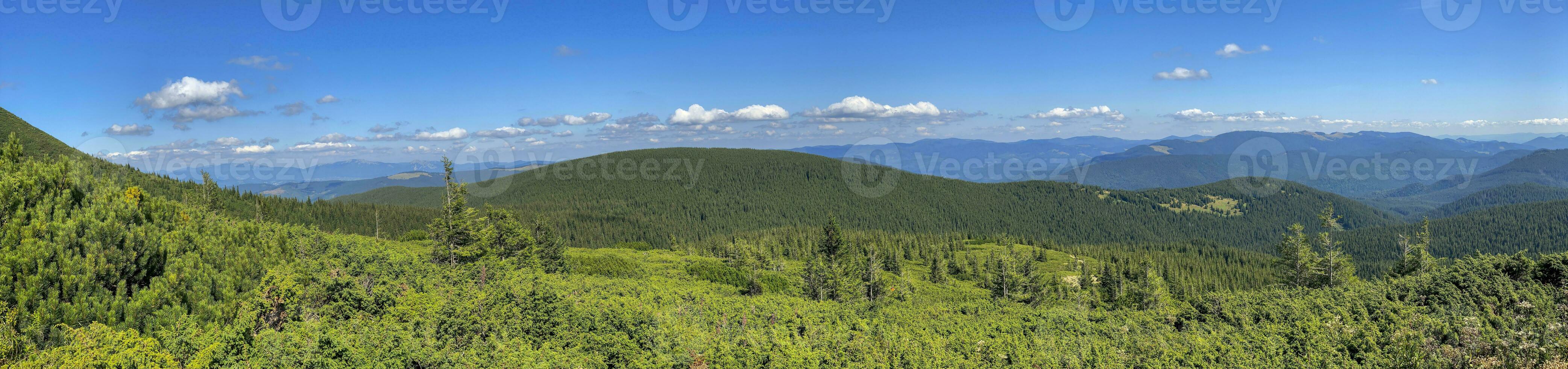 Mountain landscape with forest in the Carpathian mountains of Ukraine. photo