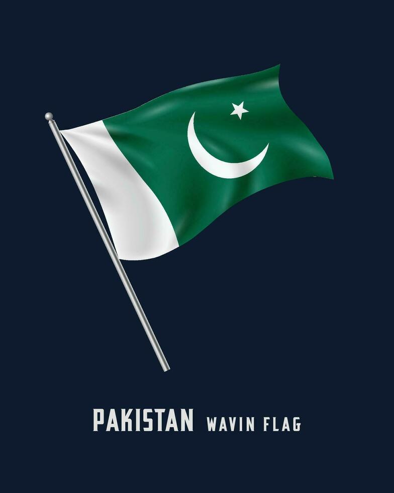 pakistan  wavin flag vector
