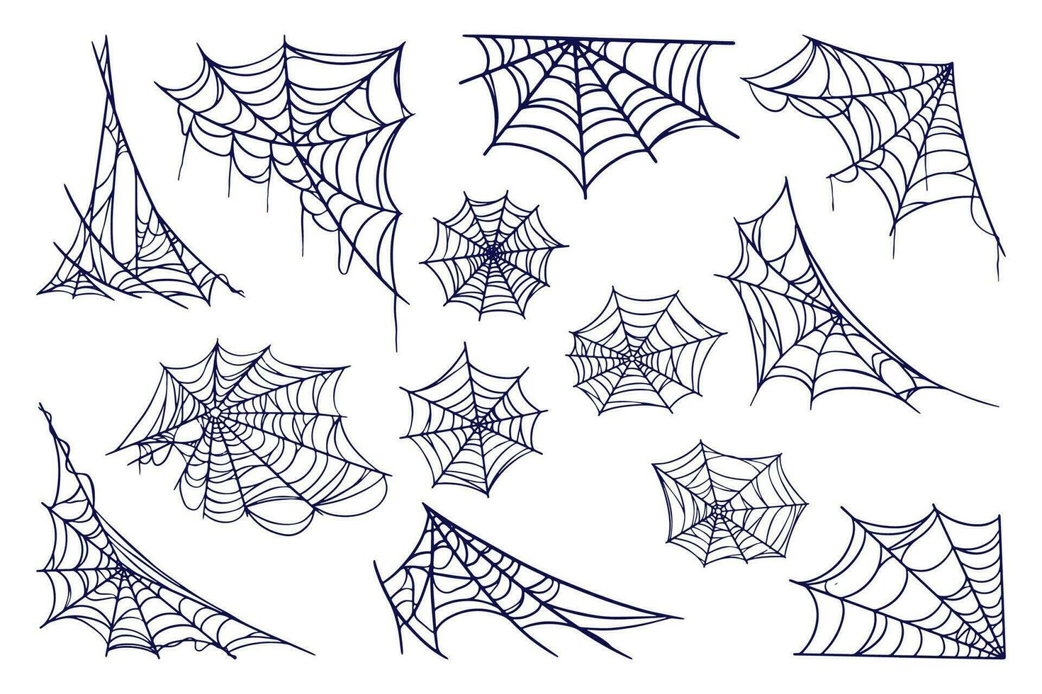 araña web colección vector