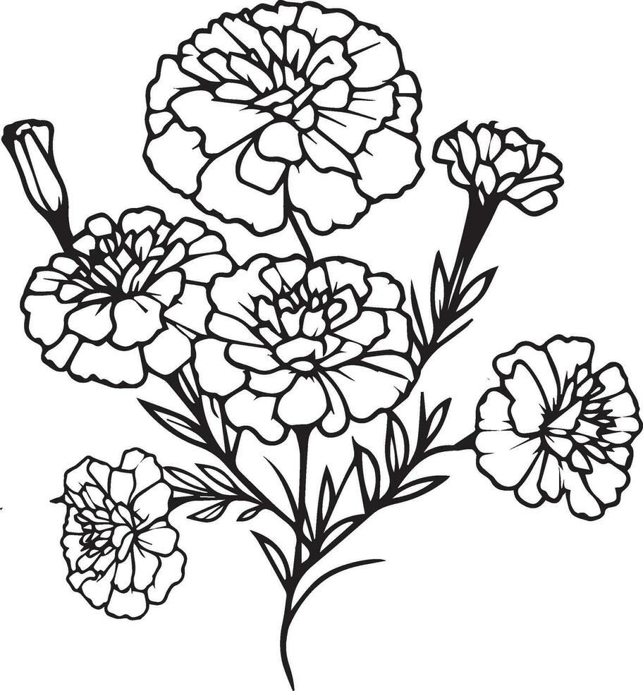 Marigold tattoo, black and white vector sketch illustration of floral ornament bouquet of marigold simplicity, Embellishment, zentangle design element for card printing coloring pages